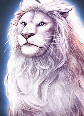 Majestic King gokkast